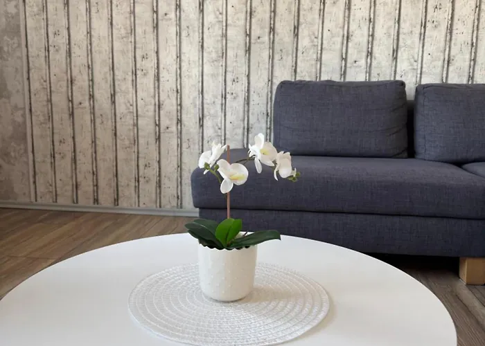 Erstklassige Zentral - Gipfelblick, Parkplatz & Bettwaesche Inklusive Apartman Braunlage